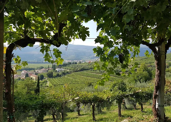 Agriturismo Valentina Cubi