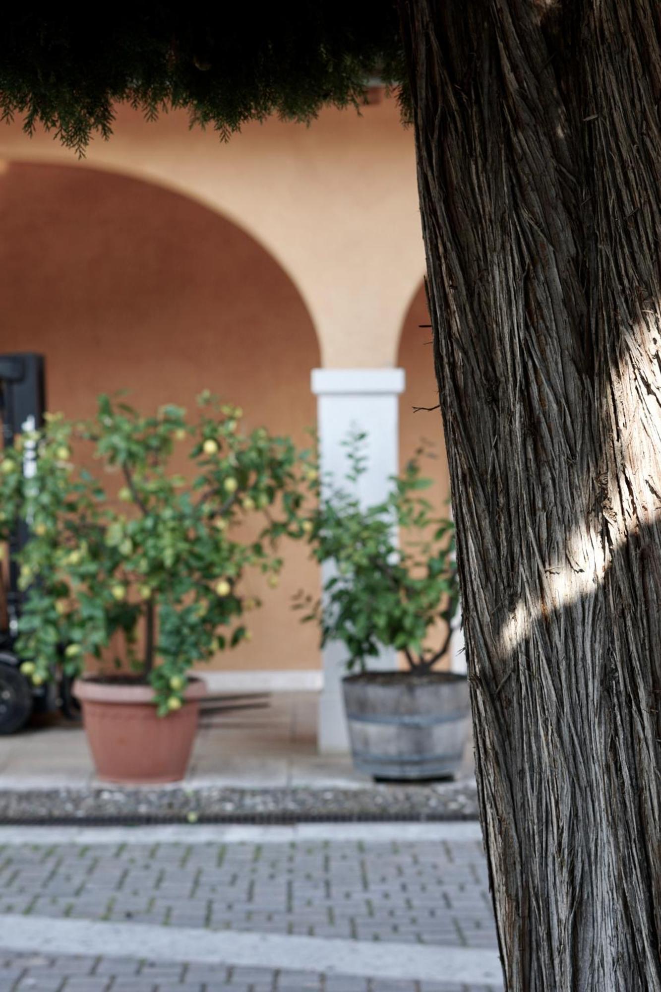 Alloggio per agriturismo Valentina Cubi Fumane